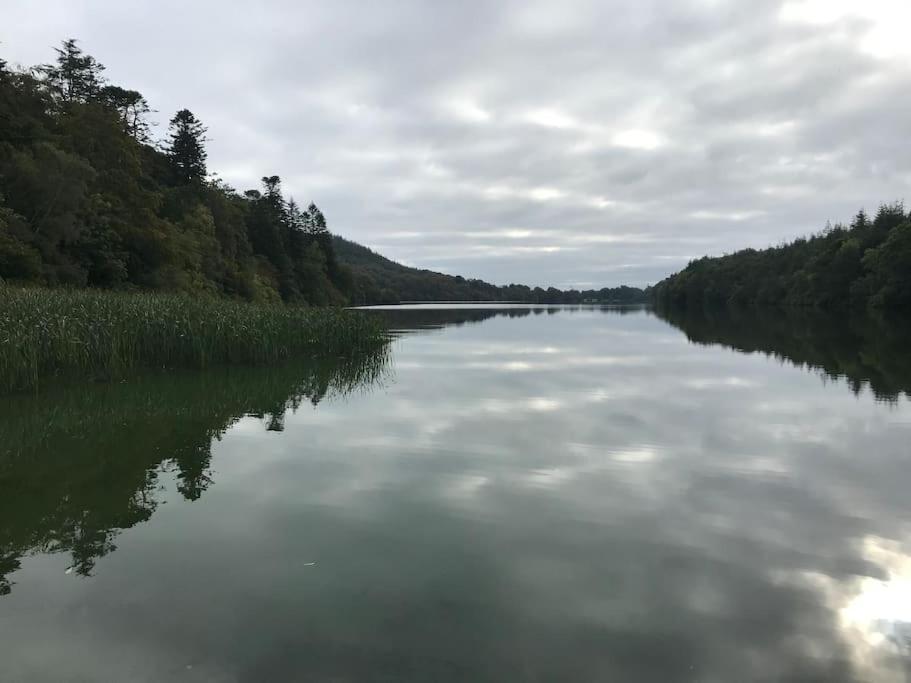 Forest View - Castlewellan Belfast Exterior foto
