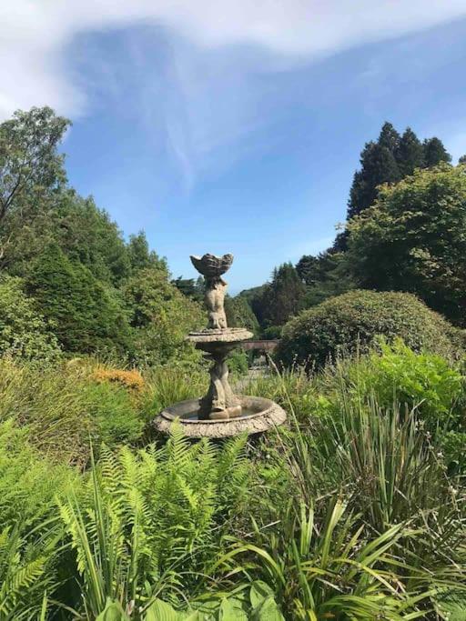 Forest View - Castlewellan Belfast Exterior foto
