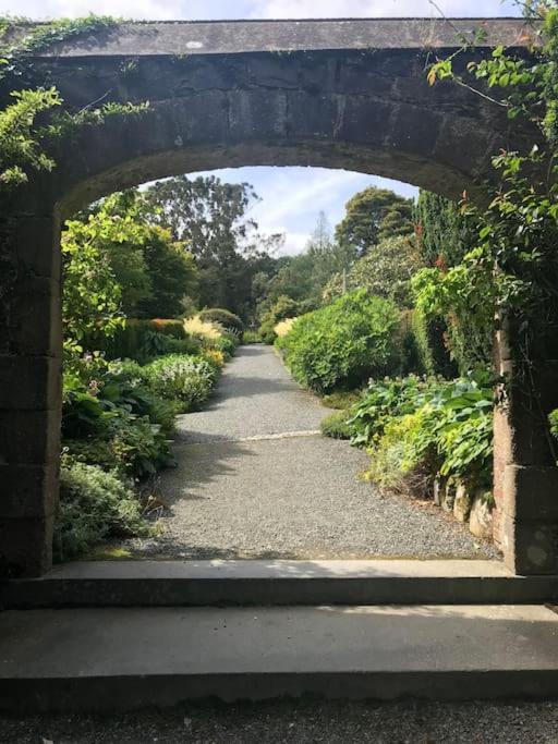 Forest View - Castlewellan Belfast Exterior foto