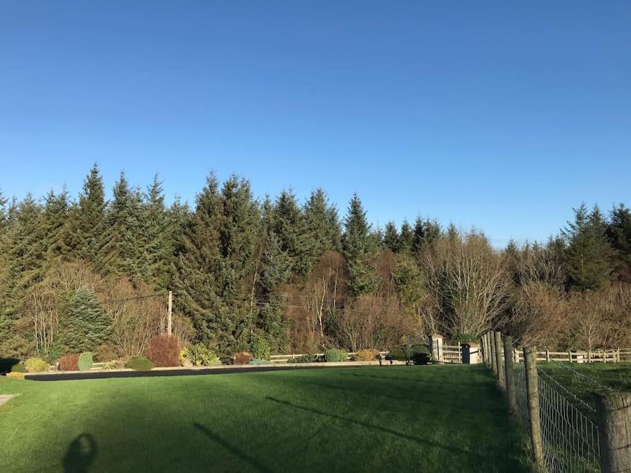Forest View - Castlewellan Belfast Exterior foto